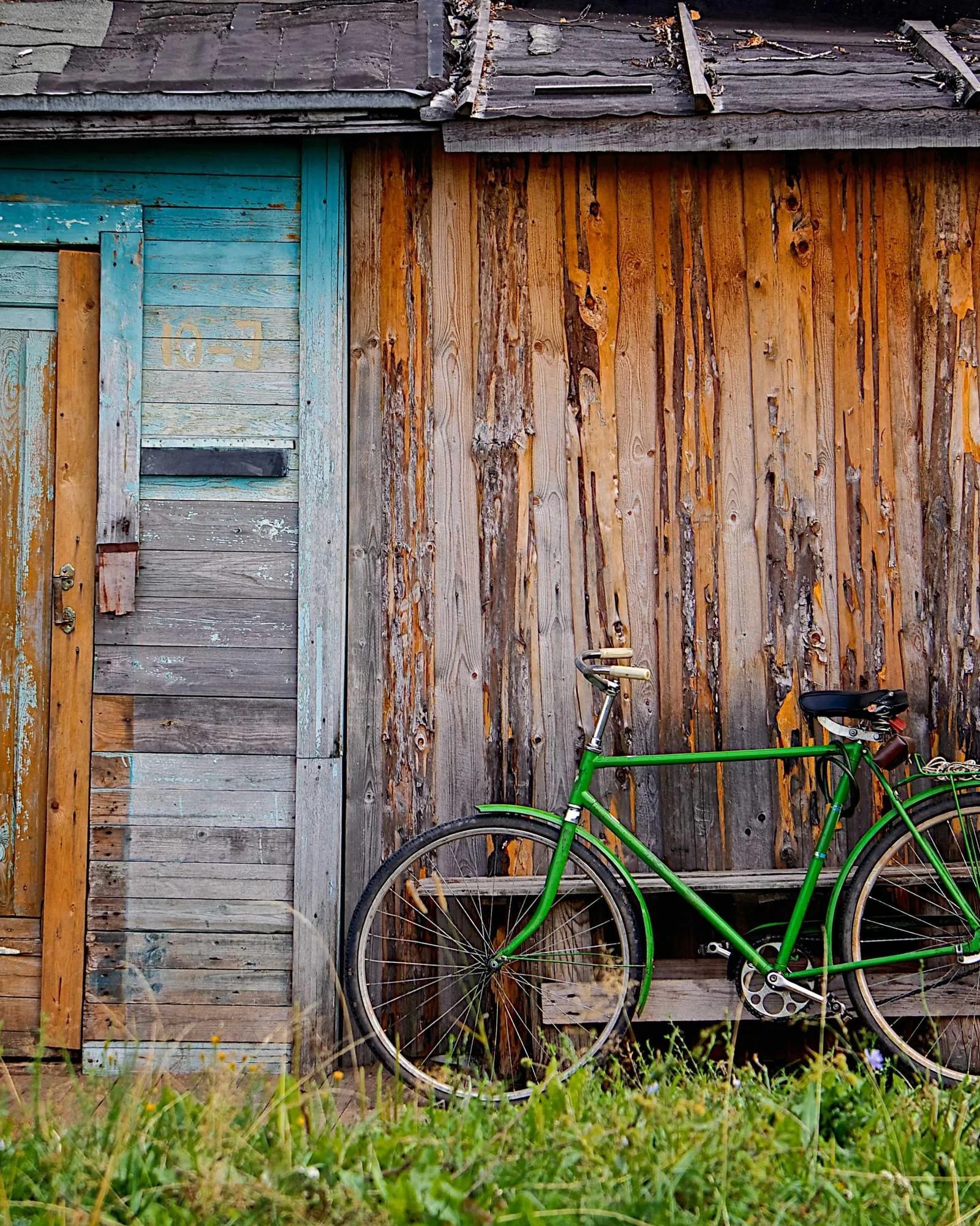A weathered wooden shed wall with a faded blue door and a green bicycle leaning against it.